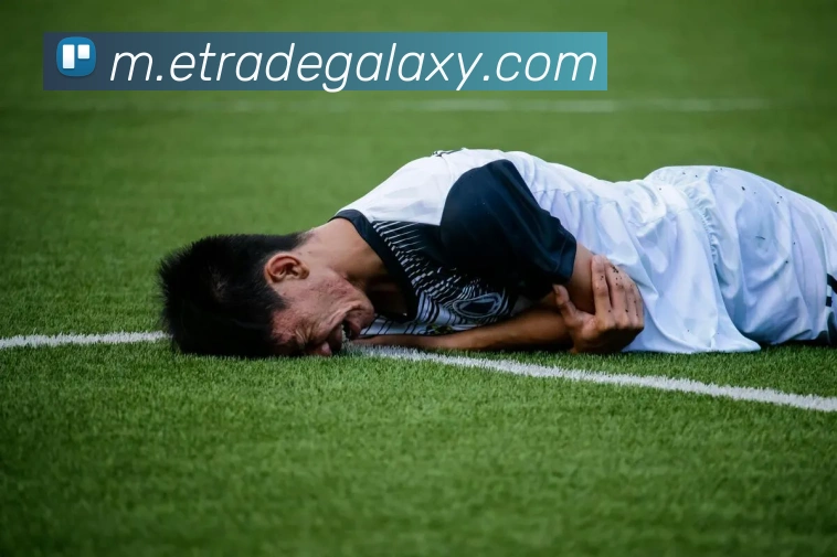 银河galaxy娱乐官网APP 封面图